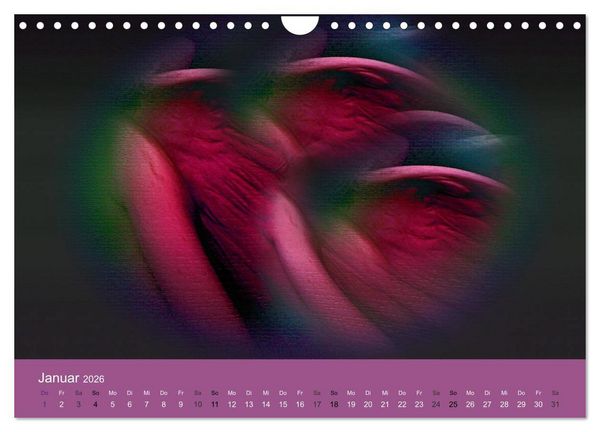 Produktbild: AUF ENGELSFL&Uuml;GELN (Wandkalender 2026 DIN A4 quer), CALVENDO Monatskalender