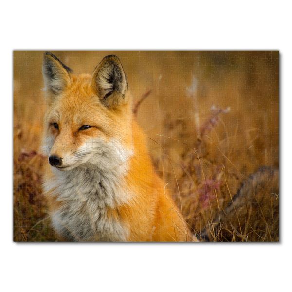 Produktbild: Lais Puzzle Fuchs 1000 Teile