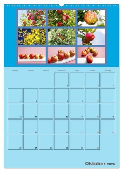 Produktbild: Food (hochwertiger Premium Wandkalender 2026 DIN A2 hoch), Kunstdruck in Hochglanz