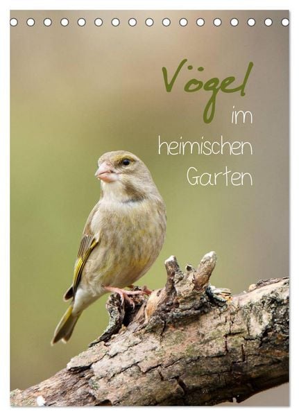 Produktbild: V&ouml;gel im heimischen Garten (Tischkalender 2026 DIN A5 hoch), CALVENDO Monatskalender