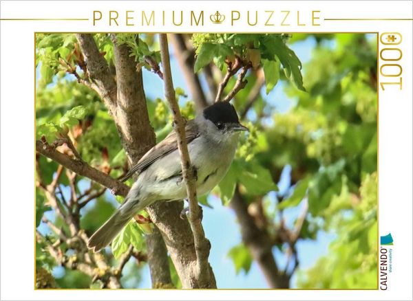 CALVENDO Puzzle Mönchsgrasmücke | 1000 Teile Lege-Größe 64x48cm Foto-Puzzle für glückliche Stunden, Sonstige von , Calvendo Puzzle, 4066851466378
