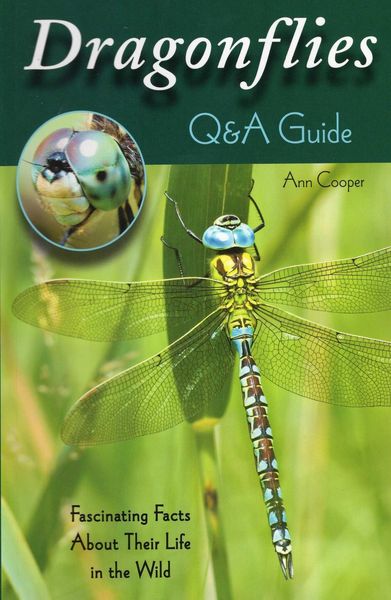 Produktbild: Dragonflies
