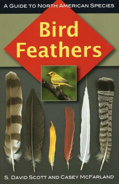 Produktbild: Bird Feathers