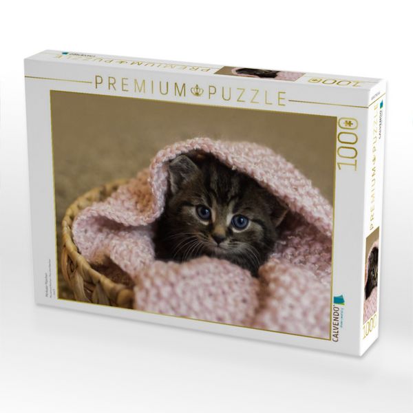 Produktbild: CALVENDO Puzzle Minikater M&auml;xchen | 1000 Teile Lege-Gr&ouml;&szlig;e 64x48cm Foto-Puzzle f&uuml;r gl&uuml;ckliche Stunden