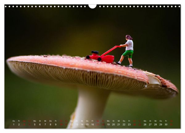Produktbild: H&ouml;her, schneller, kleiner - Miniaturen in unserem Alltag (Wandkalender 2026 DIN A3 quer), CALVENDO Monatskalender