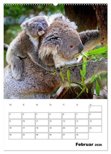 Produktbild: Australiens faszinierende Tierwelt (Wandkalender 2026 DIN A2 hoch), CALVENDO Monatskalender