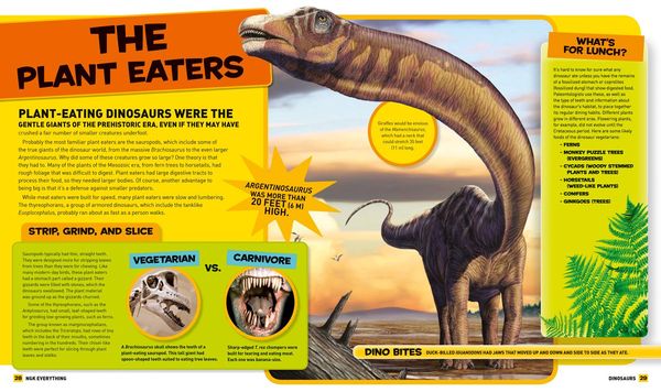 Produktbild: Everything Dinosaurs
