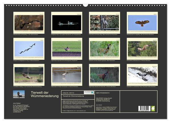 Produktbild: Tierwelt der W&uuml;mmeniederung (Wandkalender 2027 DIN A2 quer), CALVENDO Monatskalender