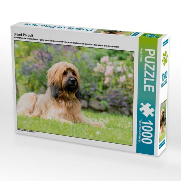 CALVENDO Puzzle Briard-Portrait | 1000 Teile Lege-Größe 64x48cm Foto-Puzzle für glückliche Stunden