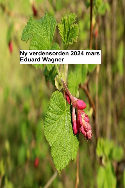 Produktbild: Ny verdensorden - mars 2024