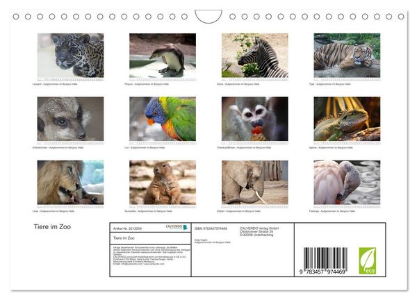 Produktbild: Tiere im Zoo (Wandkalender 2026 DIN A4 quer), CALVENDO Monatskalender