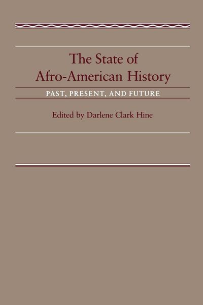 Produktbild: The State of Afro-American History