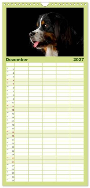 Produktbild: Familienplaner 2027 - Berner Sennenhunde mit 5 Spalten (Wandkalender, 21 x 45 cm) CALVENDO