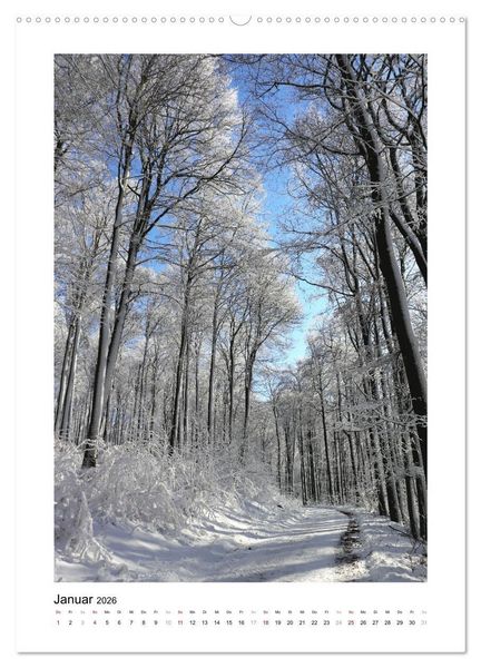 Produktbild: Mein Sehnsuchtsort, der Wald (hochwertiger Premium Wandkalender 2026 DIN A2 hoch), Kunstdruck in Hochglanz