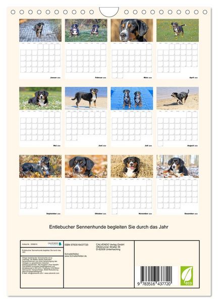 Produktbild: Entlebucher Sennenhunde begleiten Sie durch das Jahr (Wandkalender 2026 DIN A4 hoch), CALVENDO Monatskalender