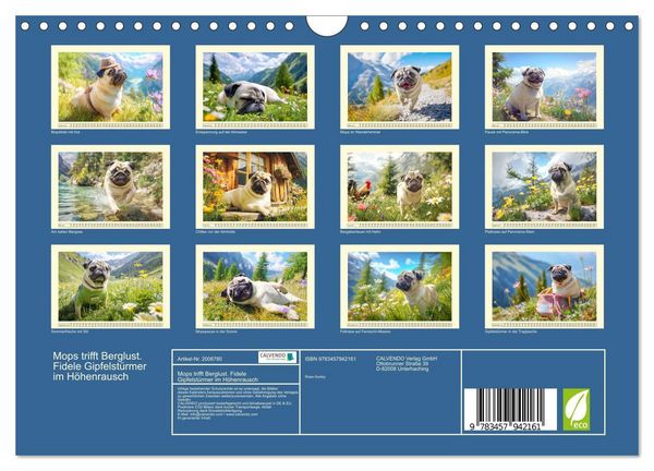 Produktbild: Mops trifft Berglust. Fidele Gipfelst&uuml;rmer im H&ouml;henrausch (Wandkalender 2026 DIN A4 quer), CALVENDO Monatskalender