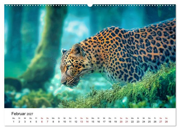 Produktbild: Gefleckte Schatten - Im Bann der Leoparden (Wandkalender 2027 DIN A2 quer), CALVENDO Monatskalender
