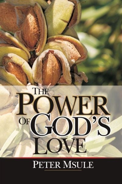 Produktbild: The Power of God's Love