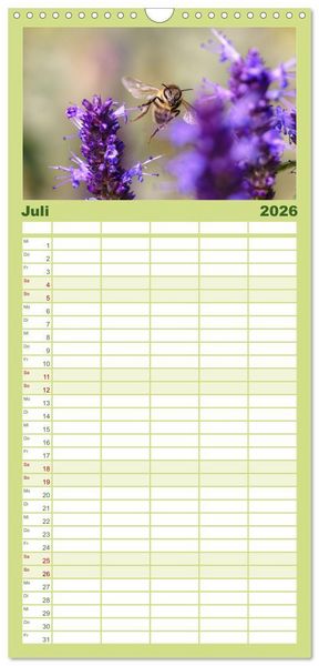 Produktbild: Familienplaner 2026 - Die Wunderwelt der Biene mit 5 Spalten (Wandkalender, 21 x 45 cm) CALVENDO