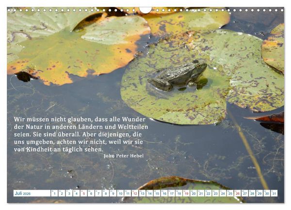 Produktbild: Kraftquelle Natur (Wandkalender 2026 DIN A3 quer), CALVENDO Monatskalender