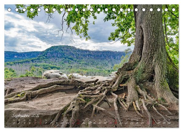 Produktbild: Landschaften der S&auml;chsischen Schweiz (Tischkalender 2026 DIN A5 quer), CALVENDO Monatskalender