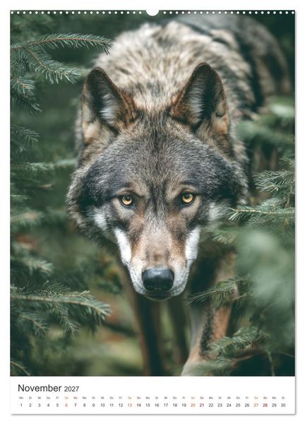 Produktbild: K&ouml;nige der Natur (hochwertiger Premium Wandkalender 2027 DIN A2 hoch), Kunstdruck in Hochglanz
