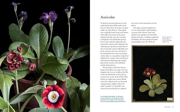 Produktbild: Life with Flowers