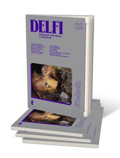 Produktbild: Delfi Fleisch