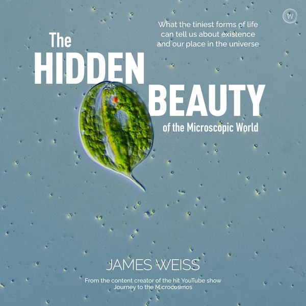 Produktbild: The Hidden Beauty of the Microscopic World