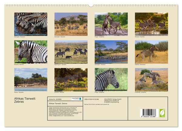 Produktbild: Afrikas Tierwelt: Zebras (hochwertiger Premium Wandkalender 2026 DIN A2 quer), Kunstdruck in Hochglanz