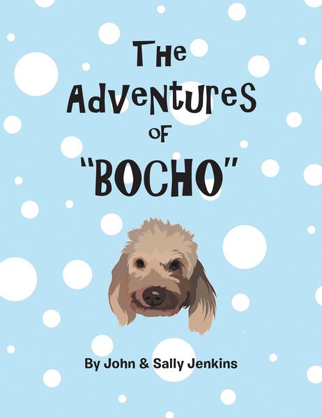 Produktbild: The Adventures of Bocho