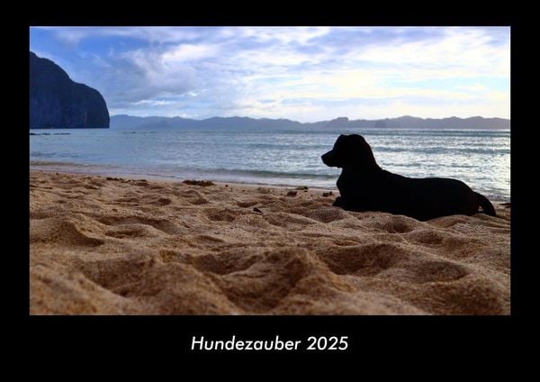 Produktbild: Hundezauber 2025 Fotokalender DIN A3