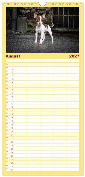 Produktbild: Familienplaner 2027 - Chihuahuas - Cool and Cute mit 5 Spalten (Wandkalender, 21 x 45 cm) CALVENDO