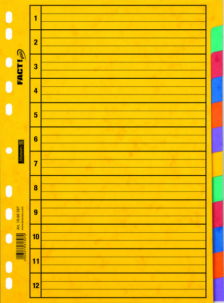 Produktbild: Brunnen Ringbuchregister A4 12tlg Pressspan