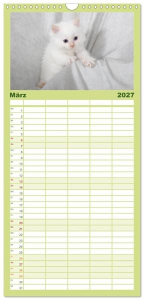 Produktbild: Familienplaner 2027 - Ragdoll Kitten mit 5 Spalten (Wandkalender, 21 x 45 cm) CALVENDO