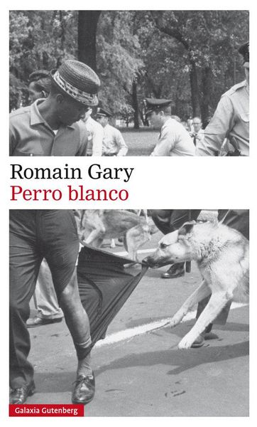 Produktbild: Perro blanco