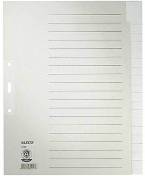 Produktbild: Leitz 1220 Register DIN A4, Überbreite blanko Tauenpapier Grau 20 Registerblätter 12200085