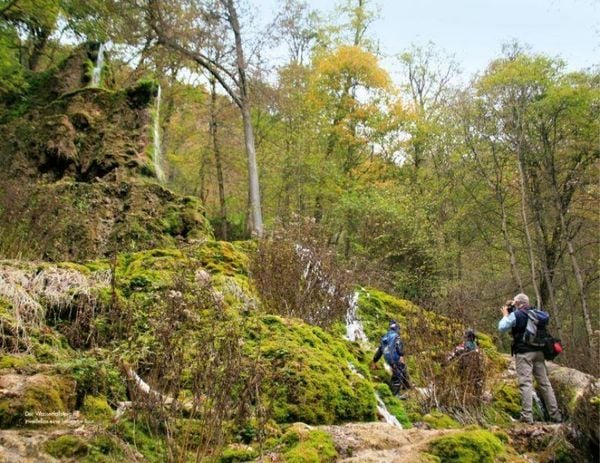 Produktbild: Premiumwanderwege Schw&auml;bische Alb