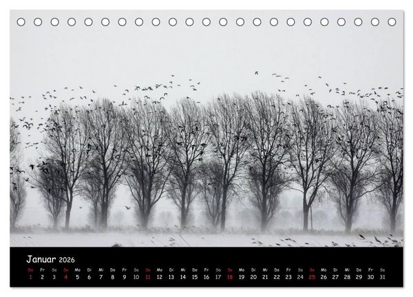 Produktbild: Schrei der Wildg&auml;nse (Tischkalender 2026 DIN A5 quer), CALVENDO Monatskalender