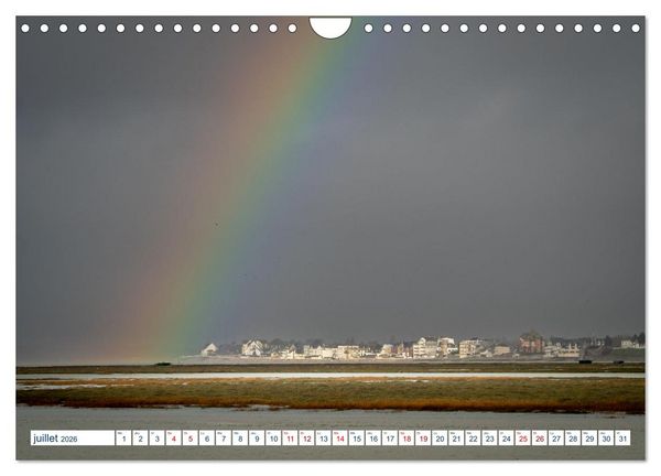 Produktbild: La c&ocirc;te picarde Le long des falaises (Calendrier mural 2026 DIN A4 vertical), CALVENDO calendrier mensuel