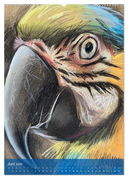 Produktbild: Augenblicke - Tierportr&auml;ts (Wandkalender 2026 DIN A2 hoch), CALVENDO Monatskalender