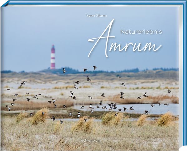 Naturerlebnis Amrum, Gebundene Ausgabe von Sven Sturm, Tecklenborg, B, 978-3-949076-28-2