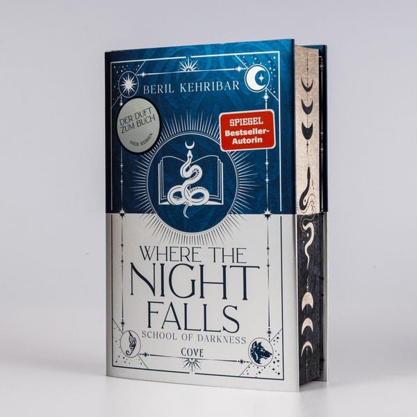 Produktbild: Where the Night Falls (School of Darkness 1)