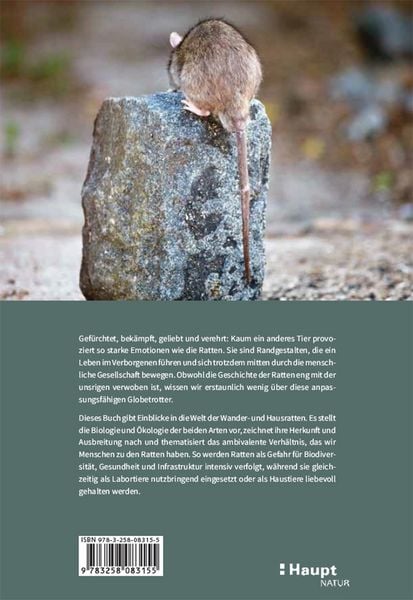 Produktbild: Ratten