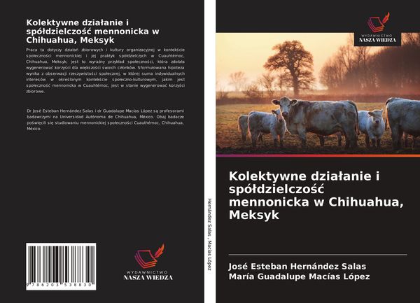 Produktbild: Kolektywne dzia&iquest;anie i sp&oacute;&iquest;dzielczo&iquest;&iquest; mennonicka w Chihuahua, Meksyk