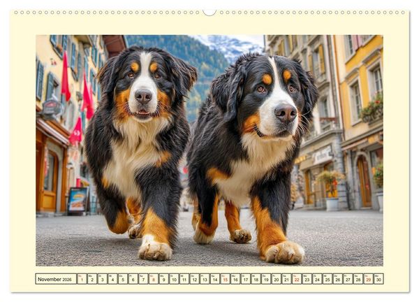 Produktbild: Berner Sennenhund. Sanfte Seelen zwischen Alpengl&uuml;ck und Abenteuerlust (hochwertiger Premium Wandkalender 2026 DIN A2 quer), Kunstdruck in Hochglanz