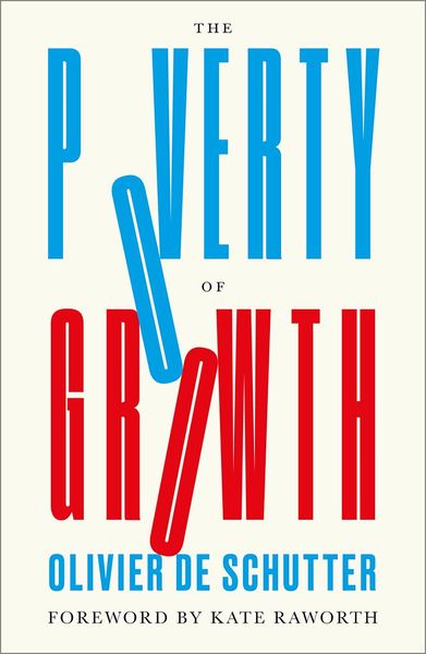 Produktbild: The Poverty of Growth