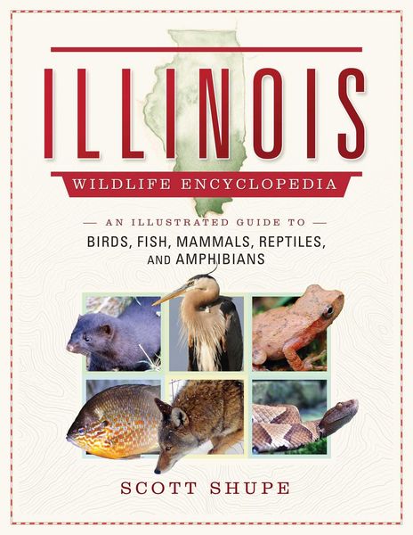 Produktbild: The Illinois Wildlife Encyclopedia