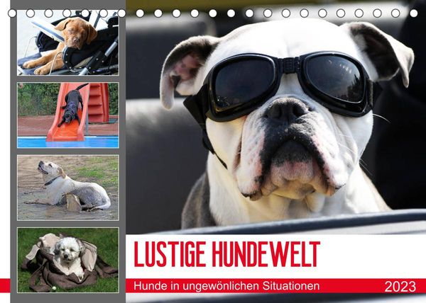 LUSTIGE HUNDEWELT Hunde in ungewönlichen Situationen (Tischkalender 2023 DIN A5 quer)