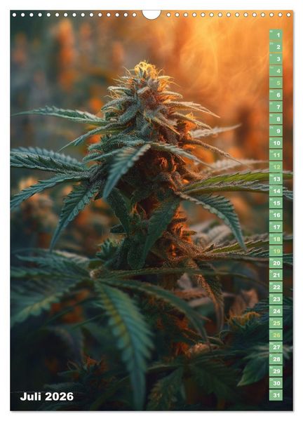 Produktbild: Rauschende Aussichten - Der ultimative Cannabis-Kalender (Wandkalender 2026 DIN A3 hoch), CALVENDO Monatskalender